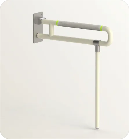 Toilet support rail