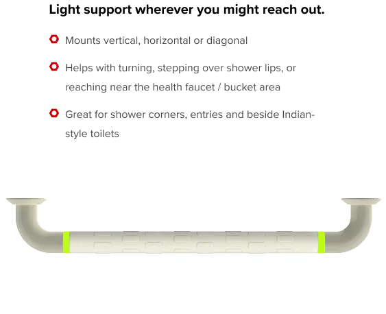 Bathroom support handle from the EyEagle protection kit