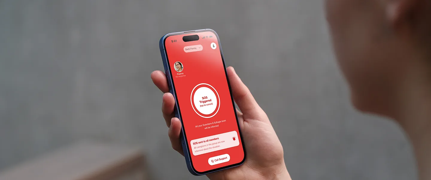 EyEagle app interface
